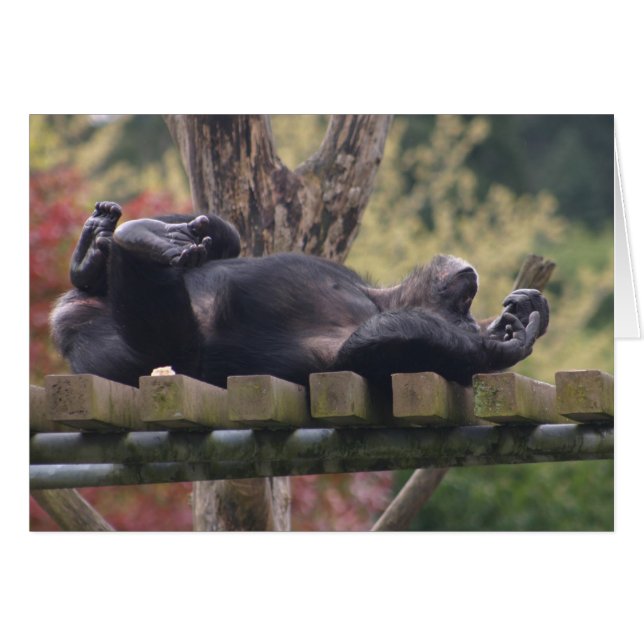 Cartão Relaxe! (Frente Horizontal)