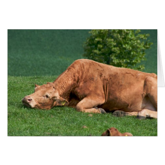 Cartão Relaxe, a vida é muito curta (Frente Horizontal)