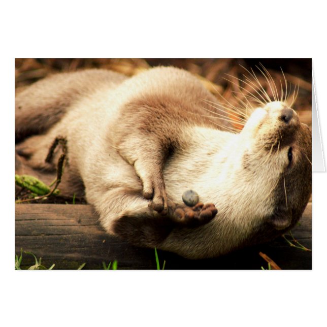 Cartão Relaxe e aprecie! (Frente Horizontal)