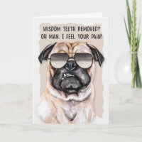 Remoção De Dentes Engraçado Cachorro Engraçado Fic