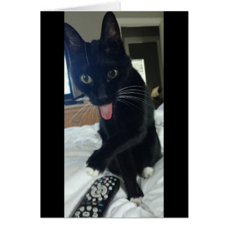 Cartão remoto para o galinheiro