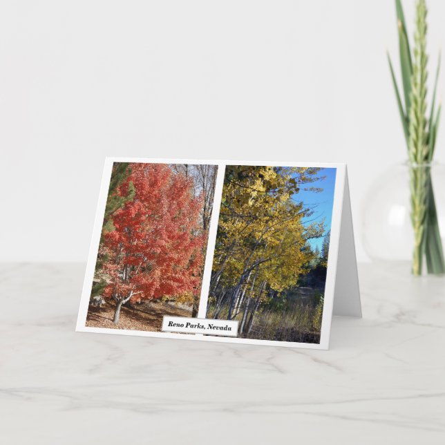 Cartão Reno Parks em outono, Nevada, fotografia J.Halko (Frente)