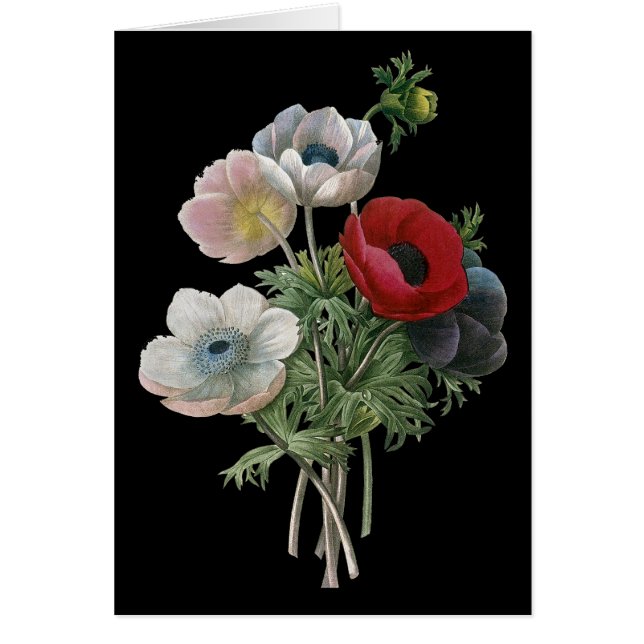 Cartão Renúncia: Anemone, 1833 (Frente)