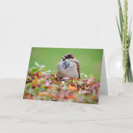 Cartão Reparo no mato