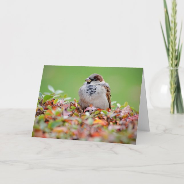 Cartão Reparo no mato (Frente)