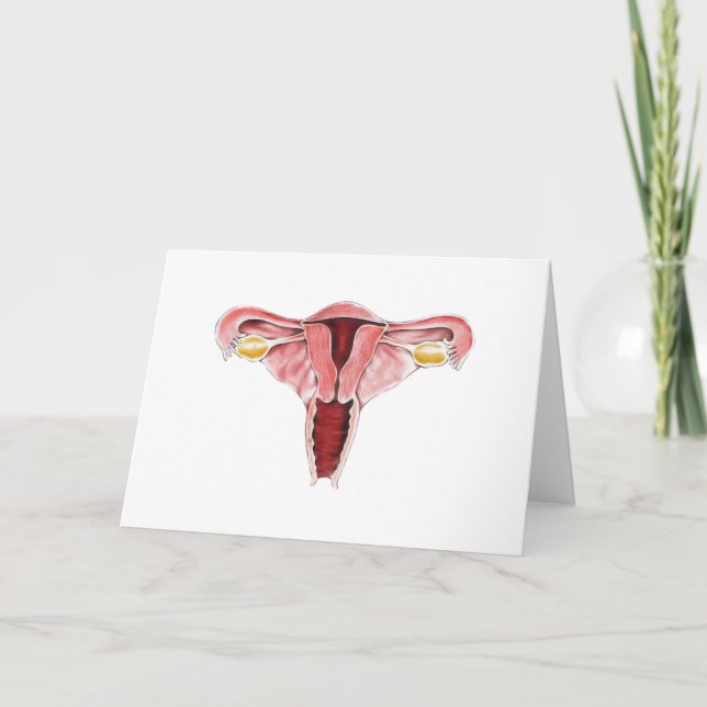Cartão Reprodutivo para Mulheres (Frente)
