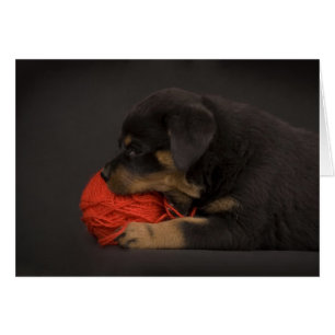 Cartão Reproduzindo Puppy 2