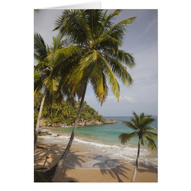 Cartão República Dominicana, Costa Norte, Abreu, Playa (Frente)