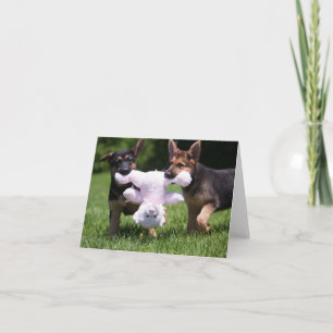 Cartão Rescue Dogs "Sammi" and "Rilie"