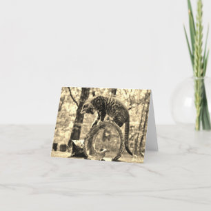 Cartão Rescue Kittens Playing on a Log Notecard Greeting
