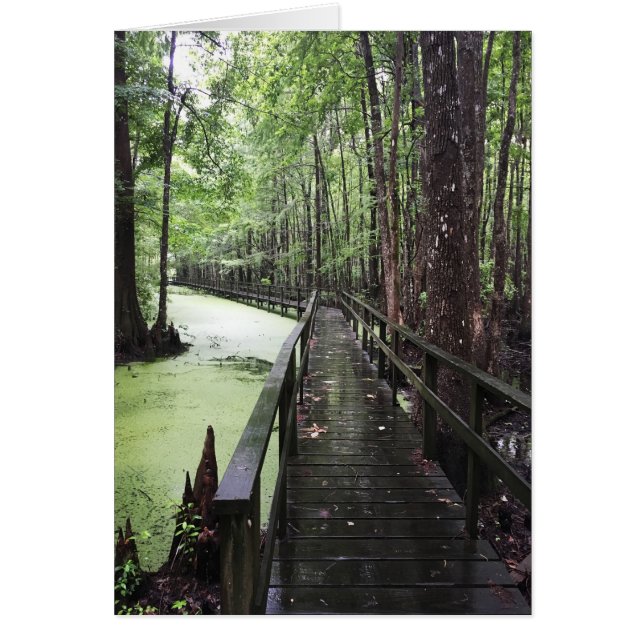 Cartão reserva costeira de santeve (Frente)