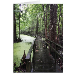 Cartão reserva costeira de segurança