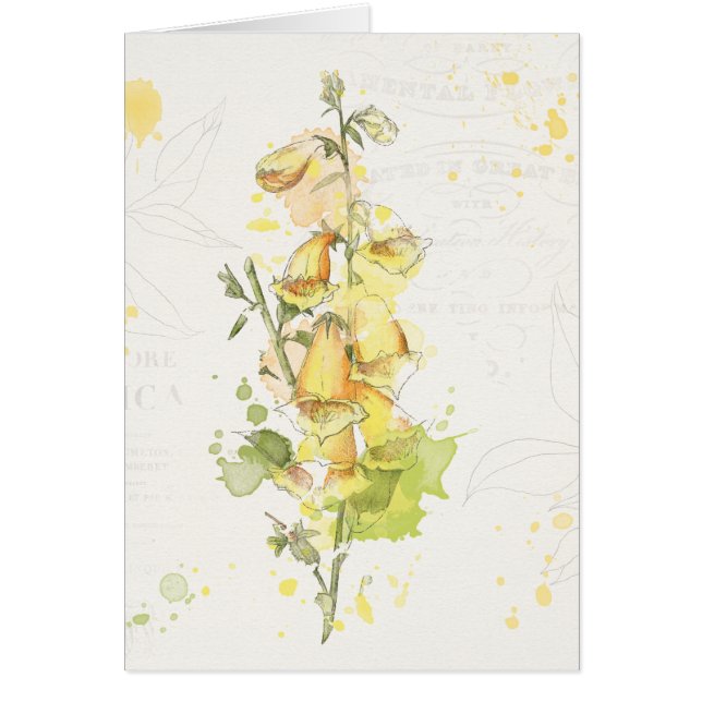 Cartão Respingo amarelo floral (Frente)