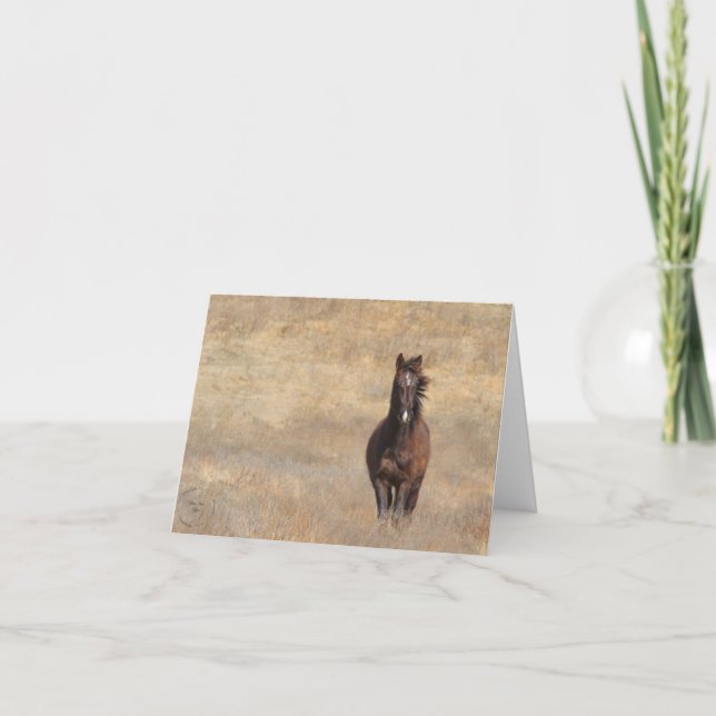 Cartão Respiração Sunny (Frente)