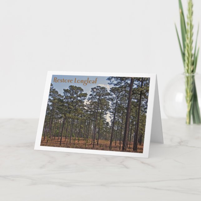 Cartão Restauração Longleaf (Frente)
