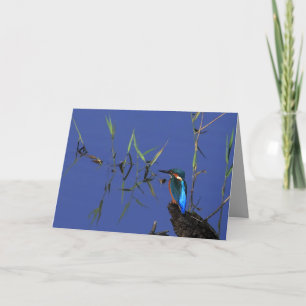 Cartão Resting Kingfisher Card