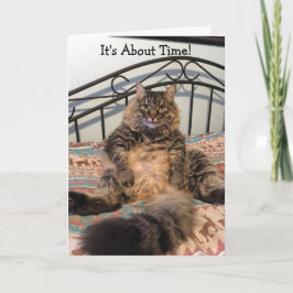 Cartão Retirada Sobre O Time Kimber Cat