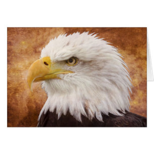 Cartão Retrato da águia americana