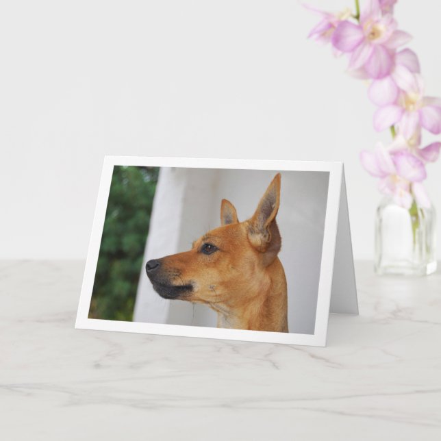Cartão Retrato da Cabeça da Miniatura Pinscher (Orquídea)