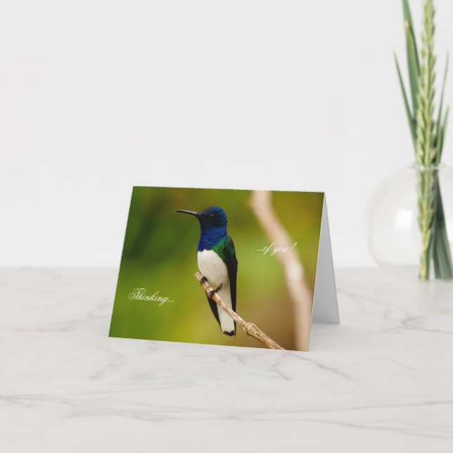 Cartão Retrato da placa Nota de Contemplação (Frente)