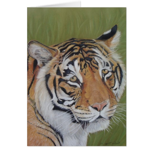 Cartão retrato da vida selvagem de um grande gato tigre (Frente)