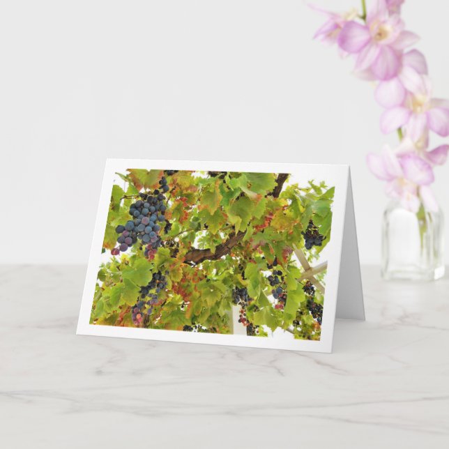 Cartão Retrato da Vinha de Uva Vermelha (Orquídea)