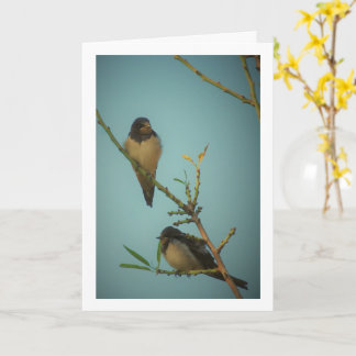 Cartão Retrato das Aves Engolidas Elegantes