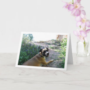 Cartão Retrato de Cachorro Deitado em Flores Silvestres