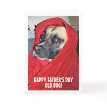 Retrato de Cachorro em Cobertor Vermelho