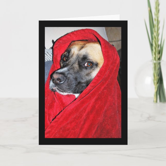 Cartão Retrato de Cachorro em Cobertor Vermelho (Frente)