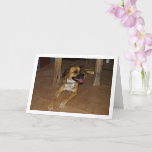 Cartão Retrato de Cachorro no Chão