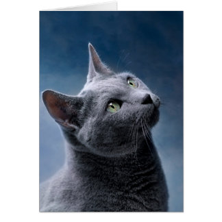 Cartão Retrato de Cat