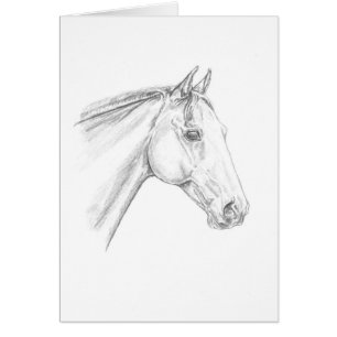 Cartão Retrato de Cavalo em Lápis