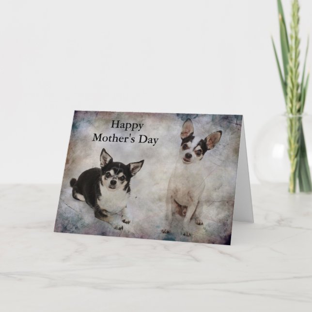 Cartão Retrato de dois chihuahua (Frente)