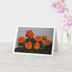Cartão Retrato de Flor de Marigold Laranja Brilhante