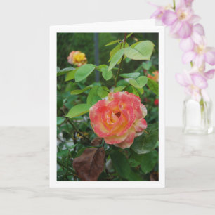 Cartão Retrato de Flor de Rosa Amarela e Rosa