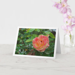 Cartão Retrato de Flor de Rosa Rosa e Amarela