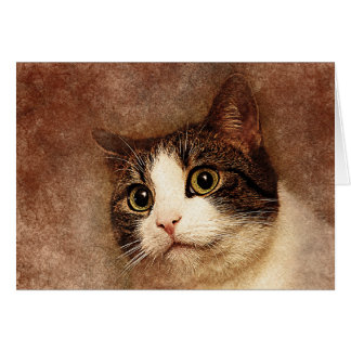 Cartão Retrato de Gatinho de olhos largos | ABSTRATO | Wa