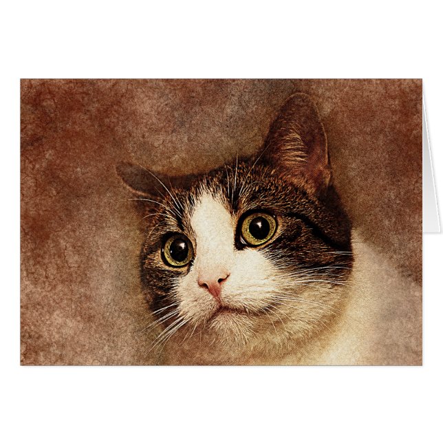 Cartão Retrato de Gatinho de olhos largos | ABSTRATO | Wa (Frente Horizontal)