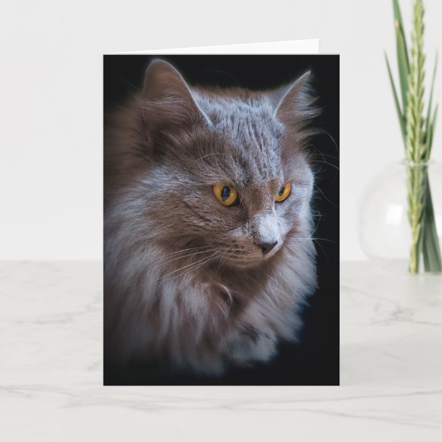 Cartão Retrato de Gato Nebelung Azul Russo de Cabelo Long (Frente)