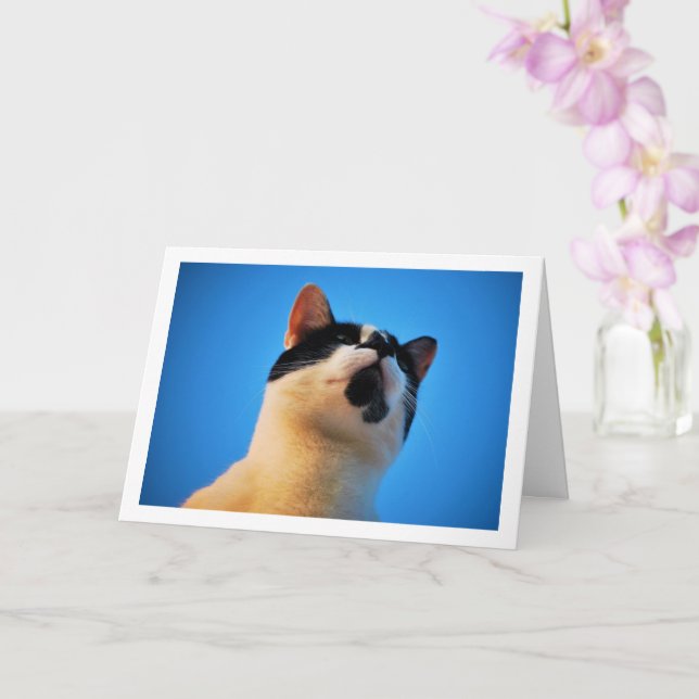 Cartão Retrato de Gato Preto e Branco (Orquídea)