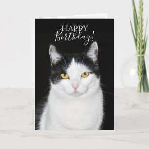 Cartão Retrato de Gato Preto e Branco