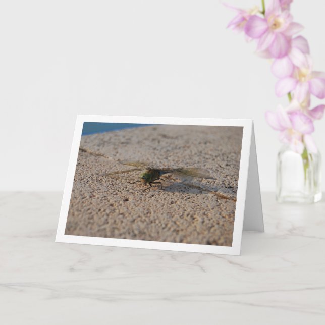 Cartão Retrato de Libélula (Orquídea)