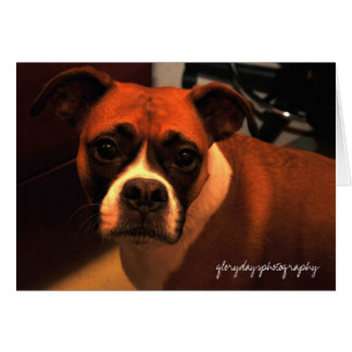 Cartão Retrato de Lucie Monroe