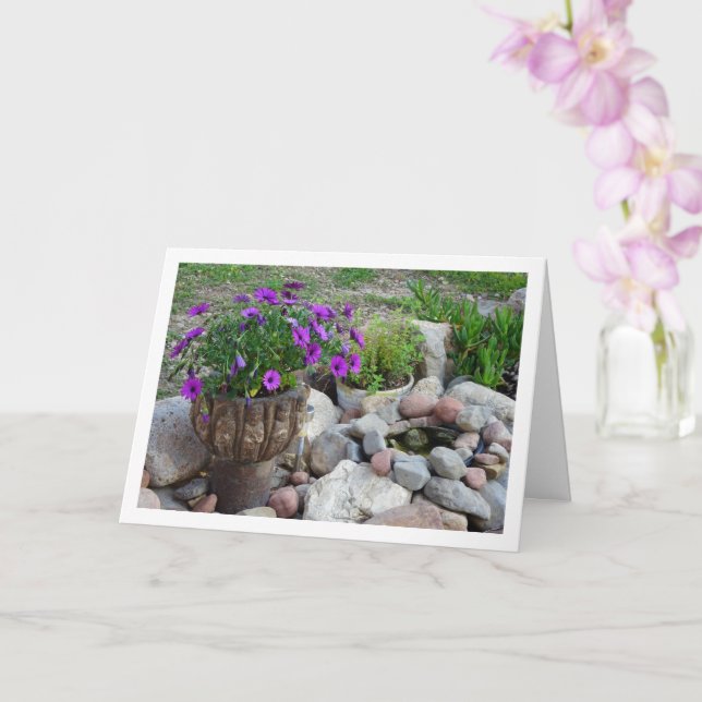 Cartão Retrato de margaridas africanas roxas (Orquídea)