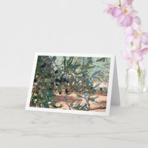 Cartão Retrato de oliveira