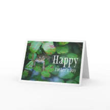 Retrato de Rã em Lagoa Frondosa