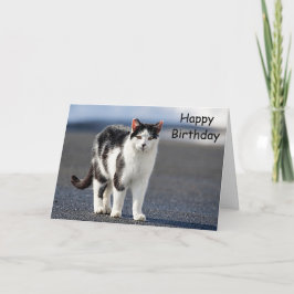 Cartão Retrato de um gato