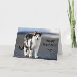 Cartão Retrato de um gato