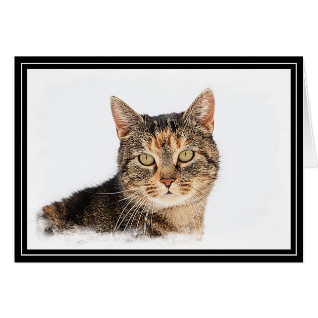 Cartão Retrato de um gato (Frente Horizontal)